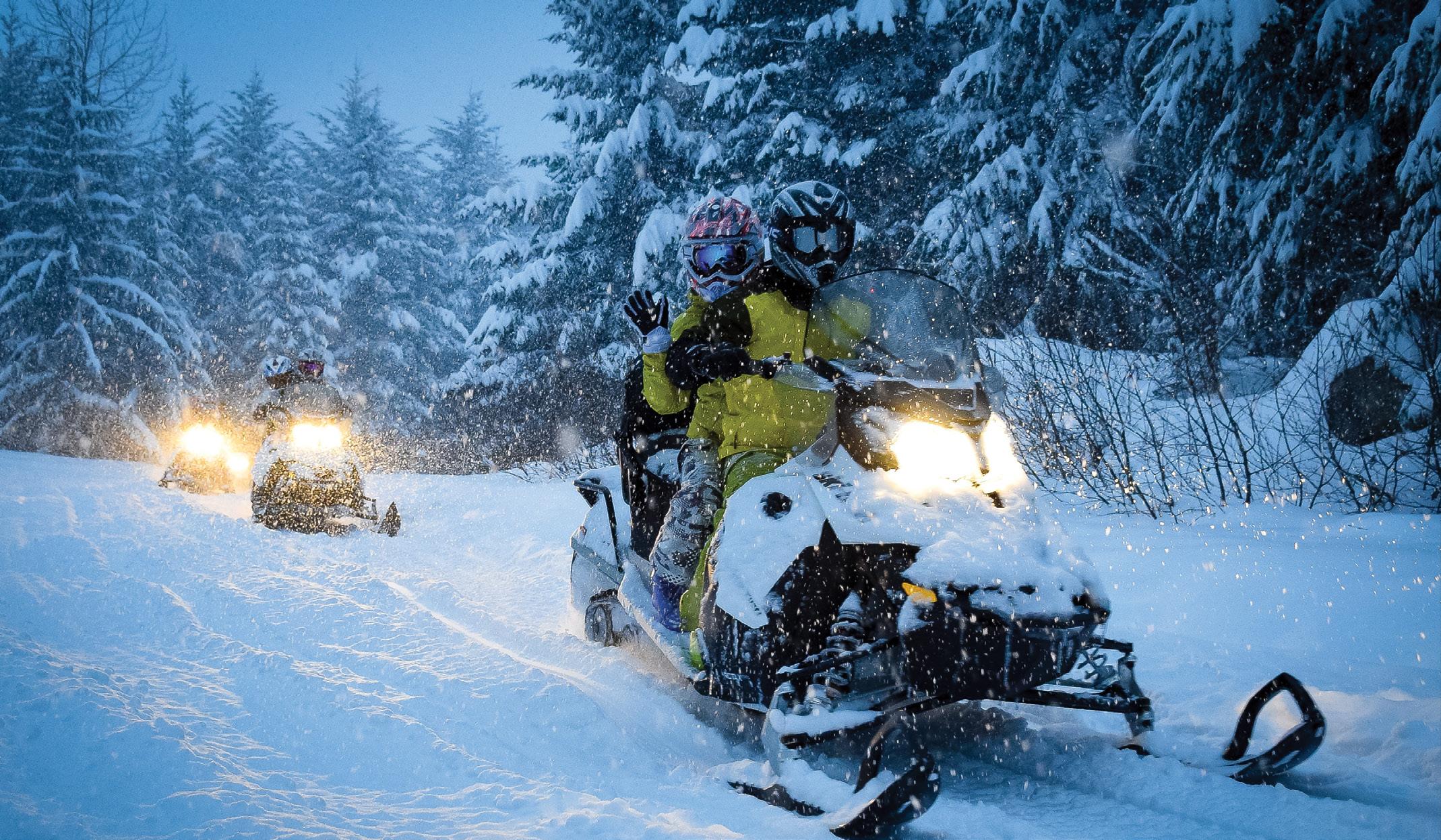 Cover for PRINCE EDWARD COUNTY LIVING