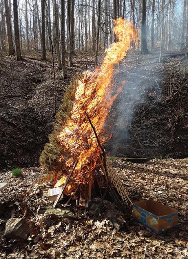 Cover for For Saint Patrick