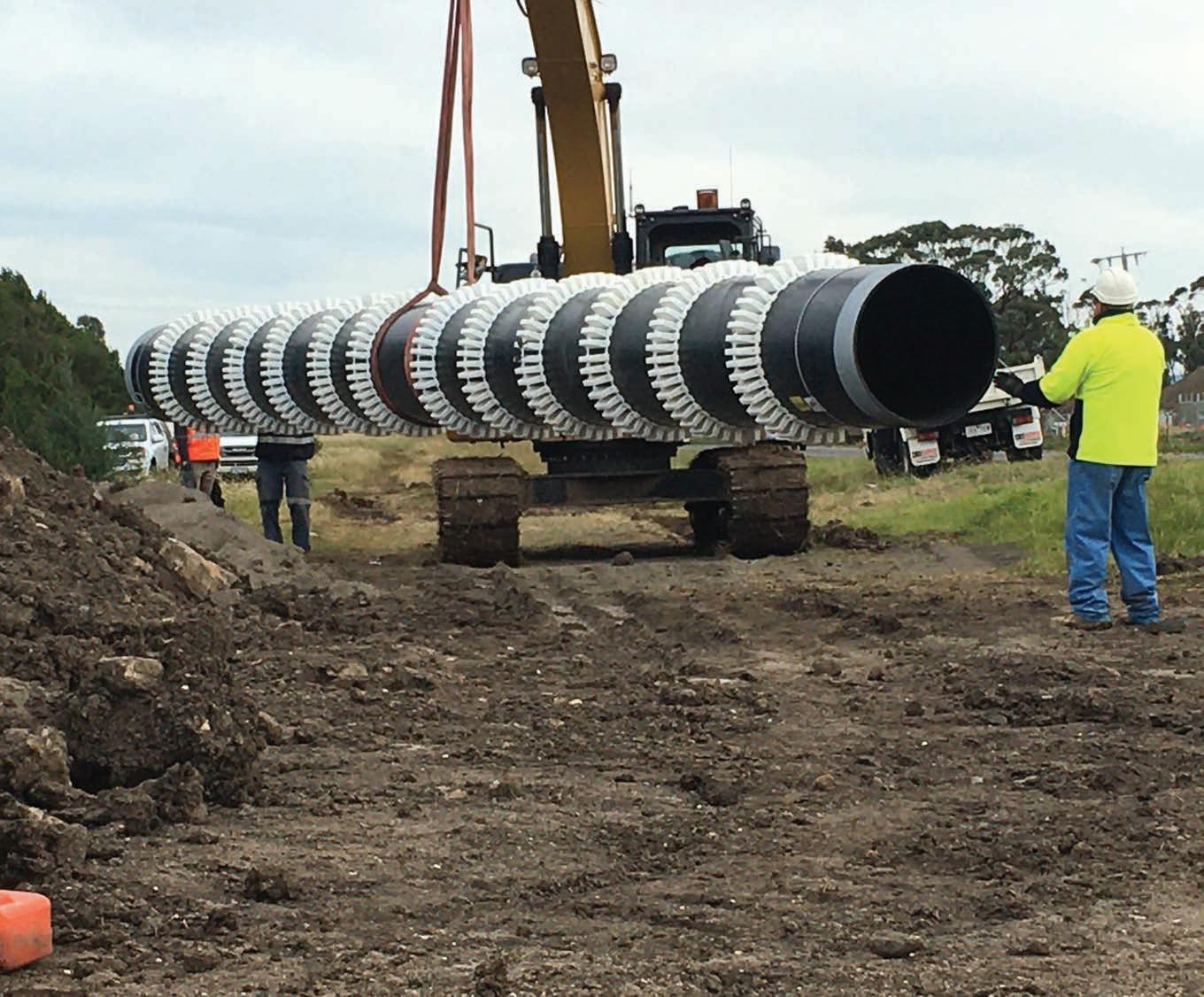 Cover for Trusted by the best