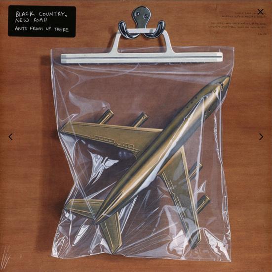 Cover for Levyarvio: Ants From Up There