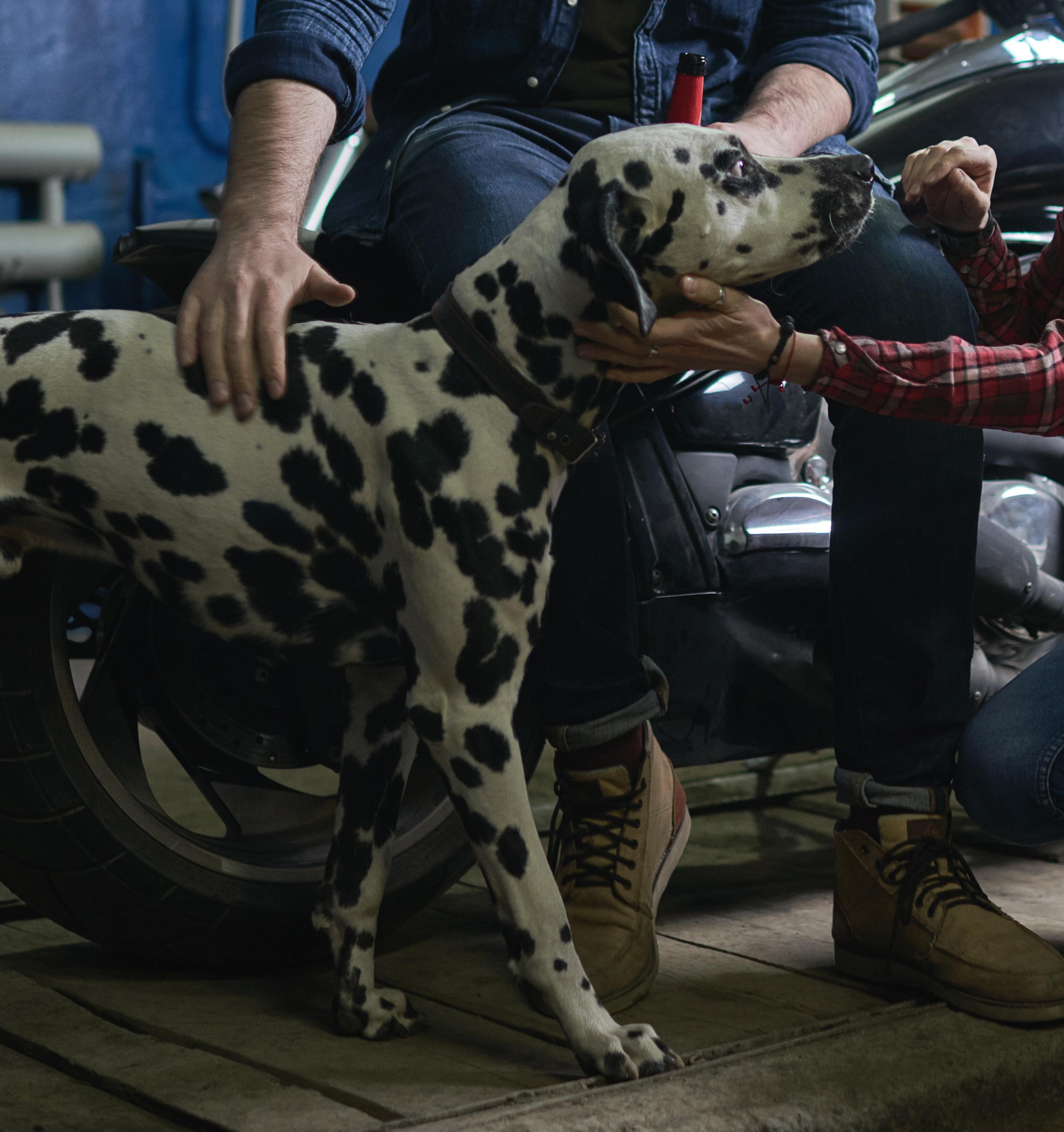 Cover for CASE STUDY