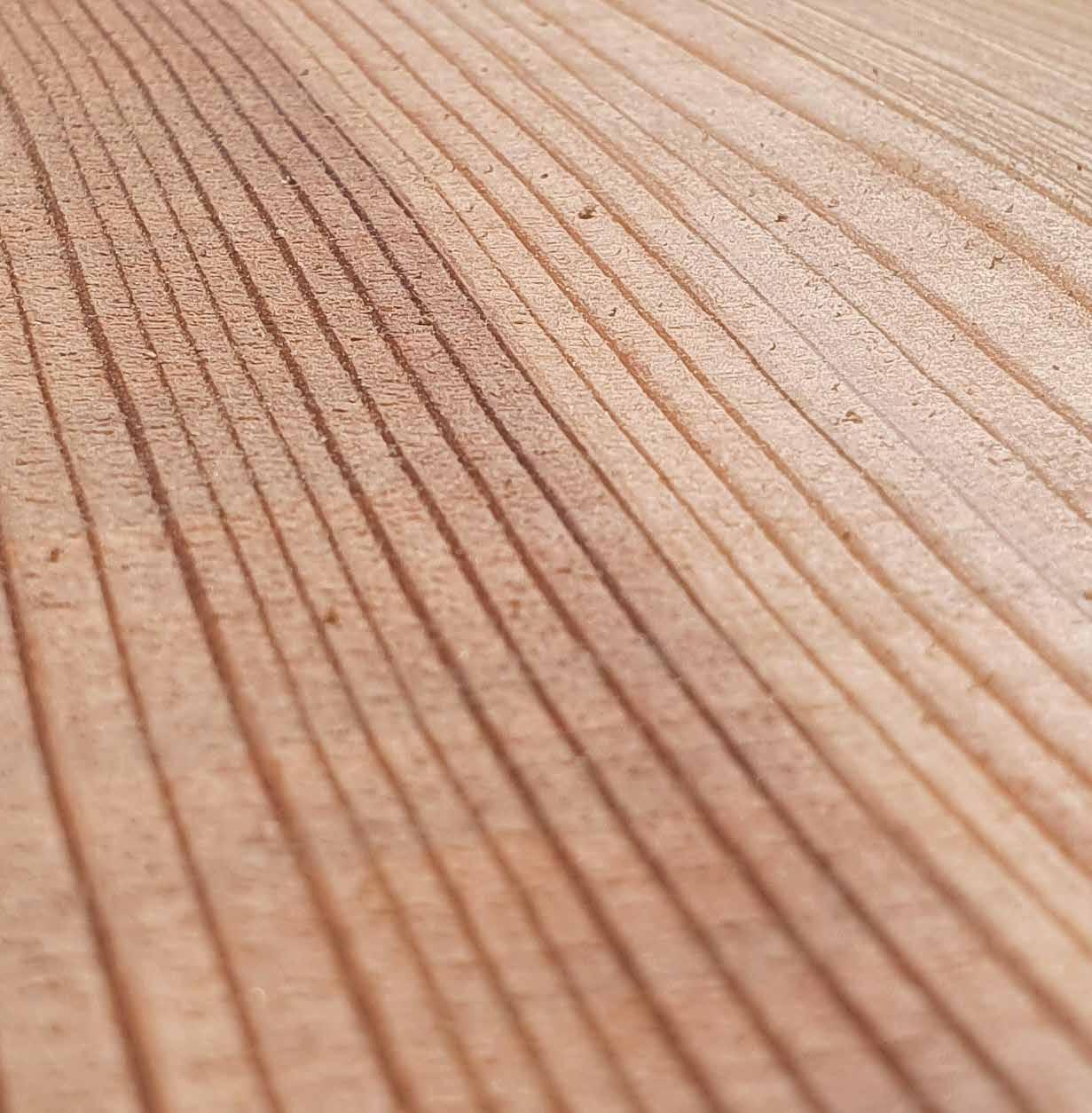 Timber Industry Yearbook 2022 by BM TRADA Publications Issuu