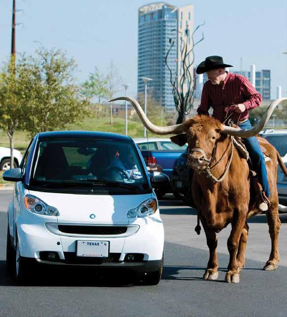Cover for WHAT MAKES TEXAS "TEXAS"?