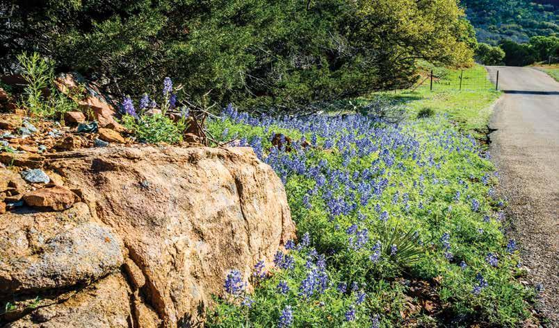 Cover for WORTH THE DRIVE