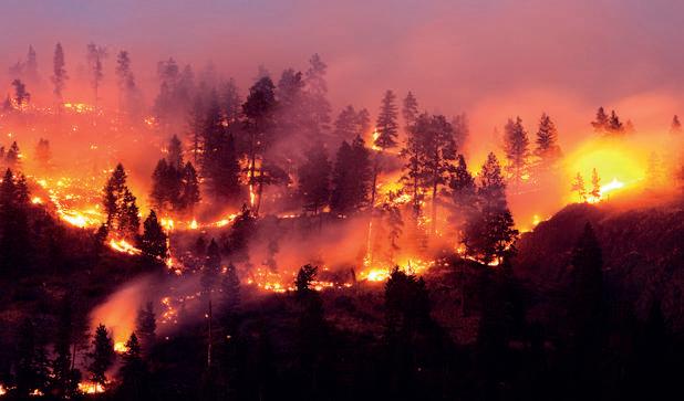 Cover for Diego Riveaux Marcet, Seremi del Medio