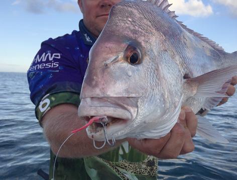 Fish Sniffer Readers Smack Massive Bottomfish Aboard Golden Eye 2000