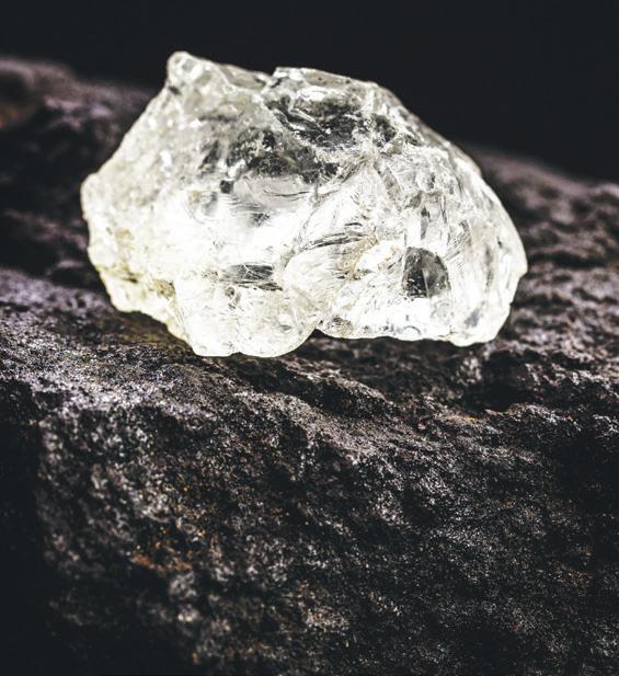 Cover for Family Education