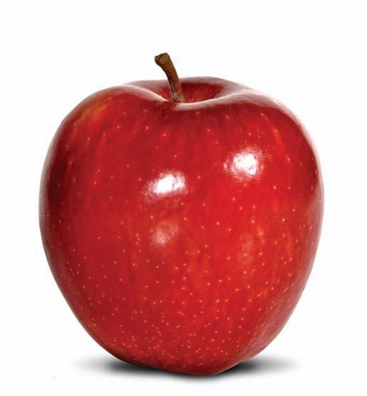 Cover for Morningside Avenues