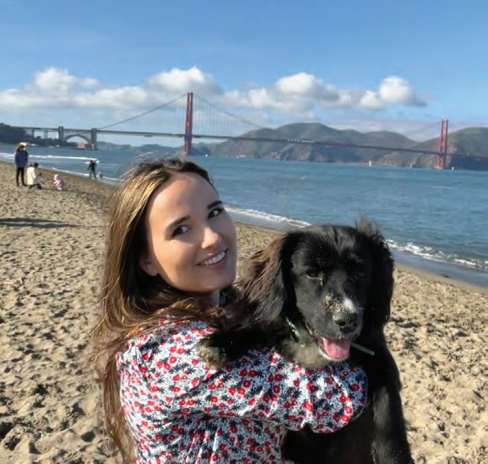 Cover for Sponge alternative