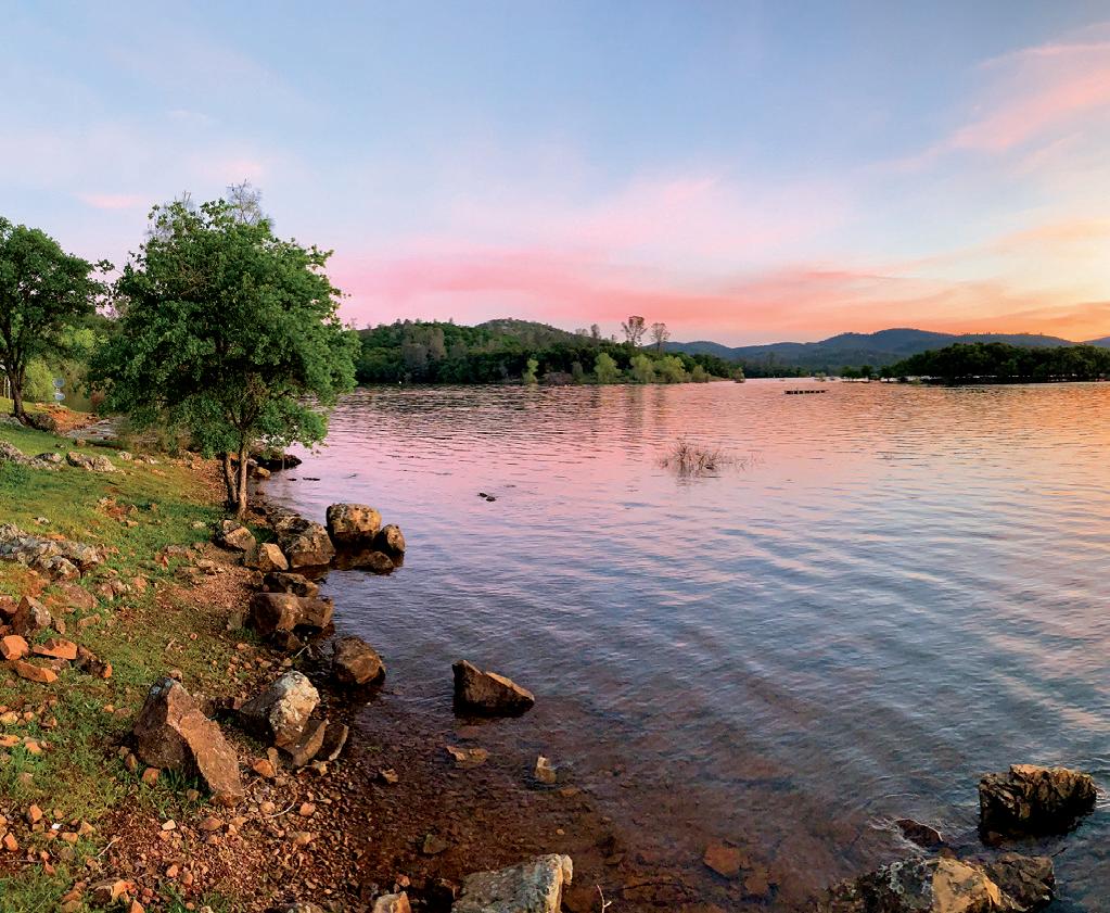 Cover for Collins Lake spring trout preview