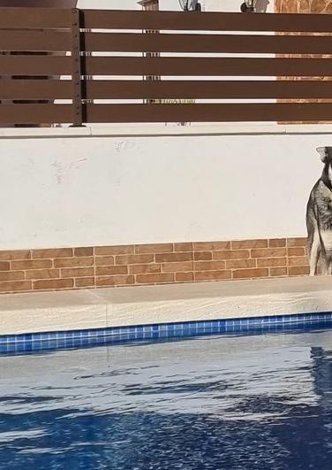 Cover for FRÅN ÅRE TILL SPANIEN