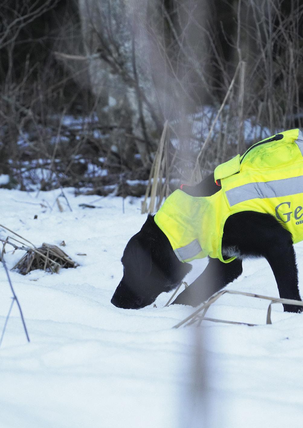 Cover for GENZO SKYDDSVÄST