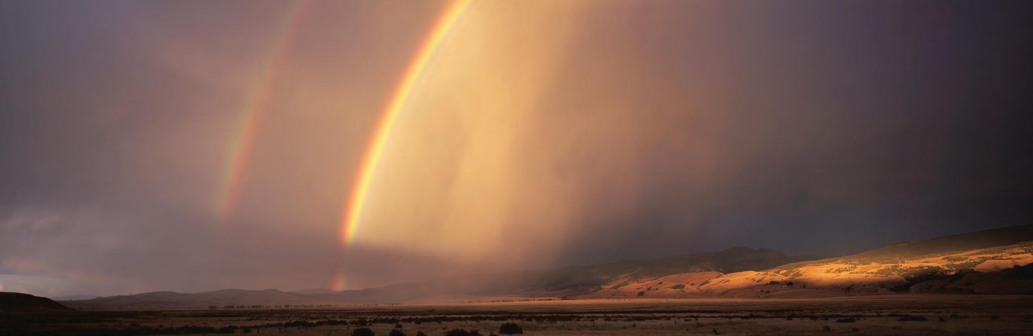 Cover for Shoot For The Stars
