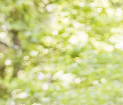 Cover for Back to nature