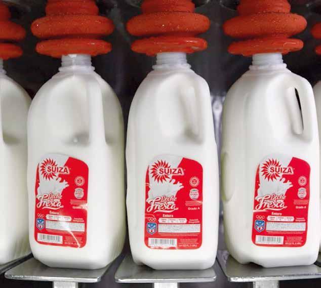 Suiza Dairy Corporation (Neva) Puerto Rico (USA) Issuu