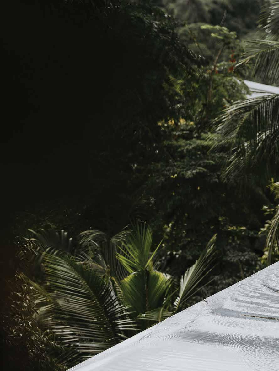 Cover for A Fine Example of Paradise – AMANPURI Thailand