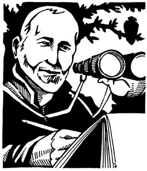 Cover for Field Notes: Mayapple