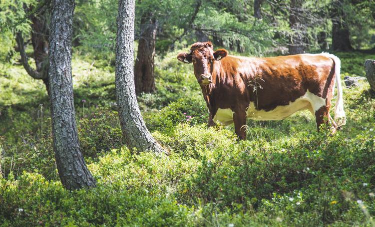 Cover for Eine Frage der Haltung