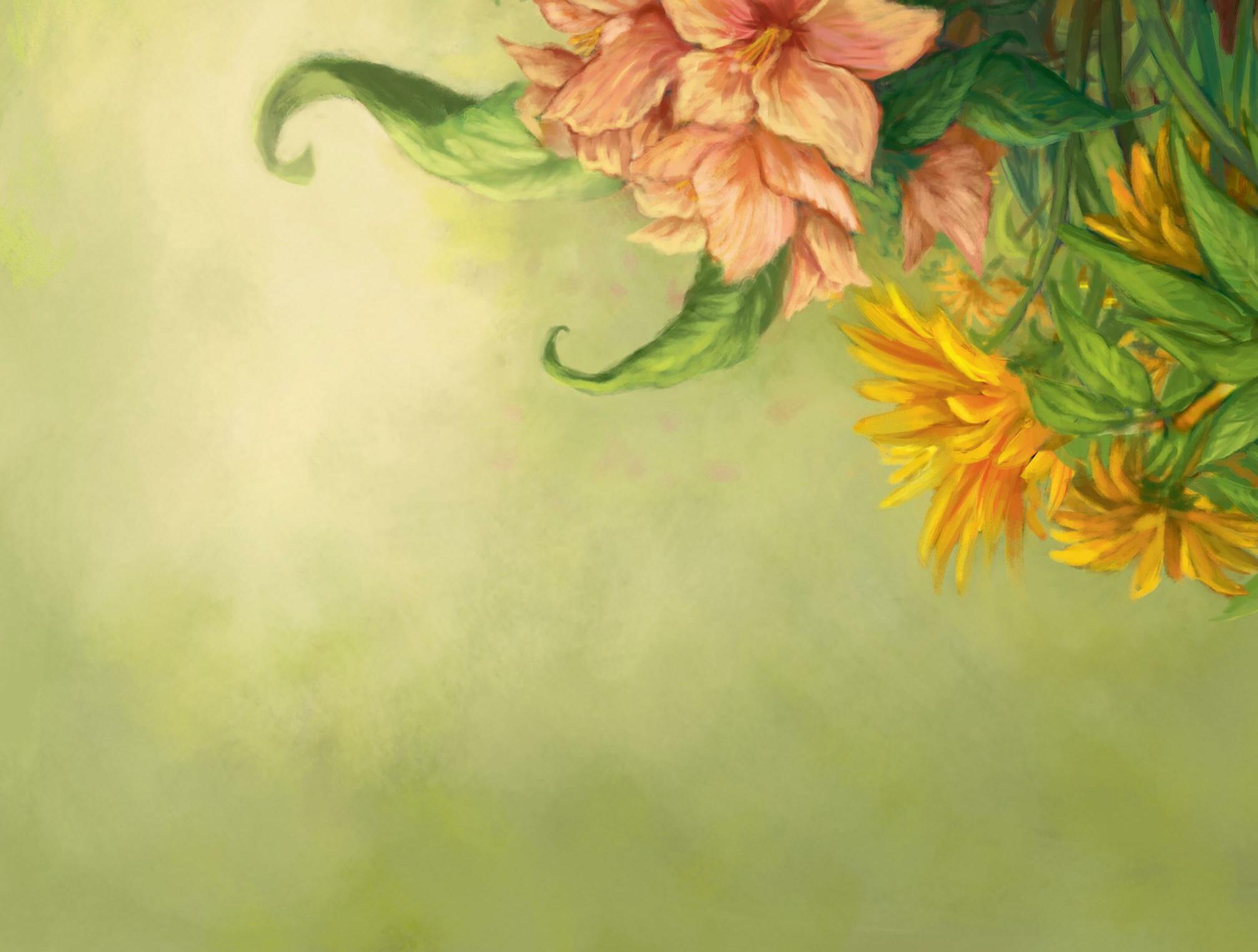 Cover for Where to Find Them