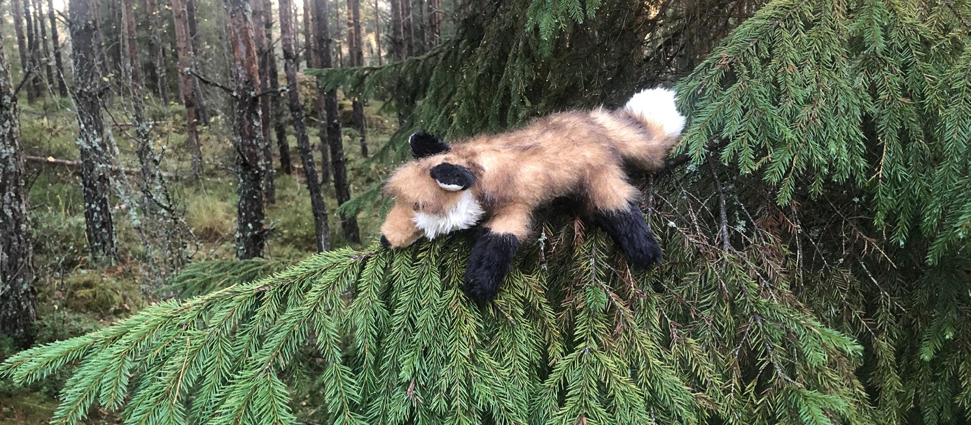 Cover for Alakoululaisten kirjoituksia