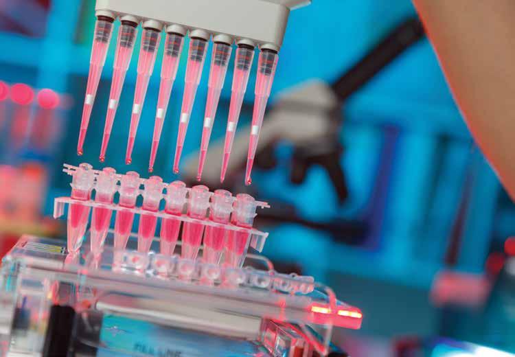 Cover for EDUCATION FOUNDATION