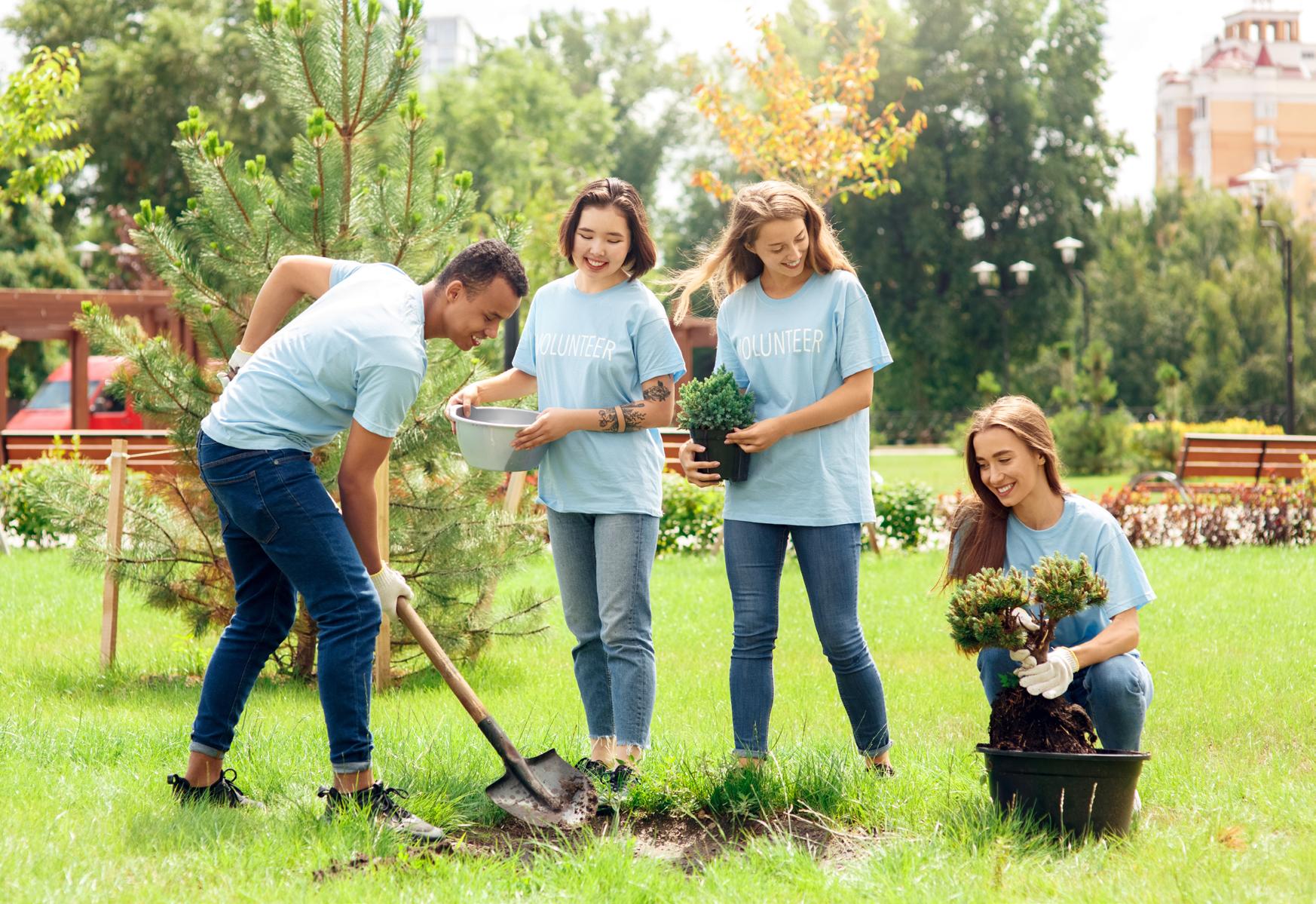 Cover for National Gardening exercise day