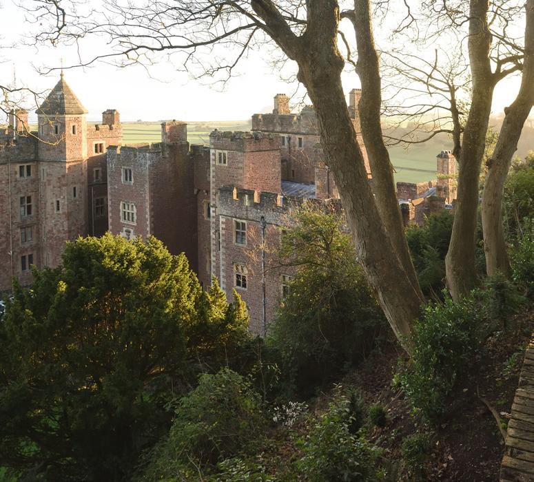 Cover for Three best gardens to visit in Somerset