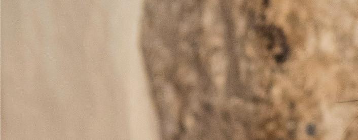 Cover for On the map