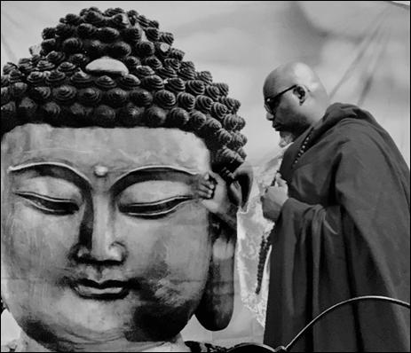 Cover for Dr. Paul Dyer