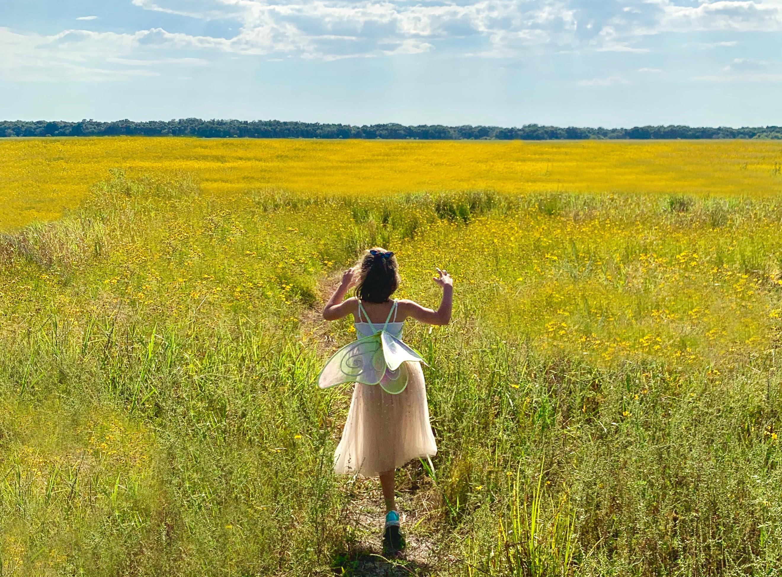 Cover for Abuso sexual de crianças Conceição Cunha