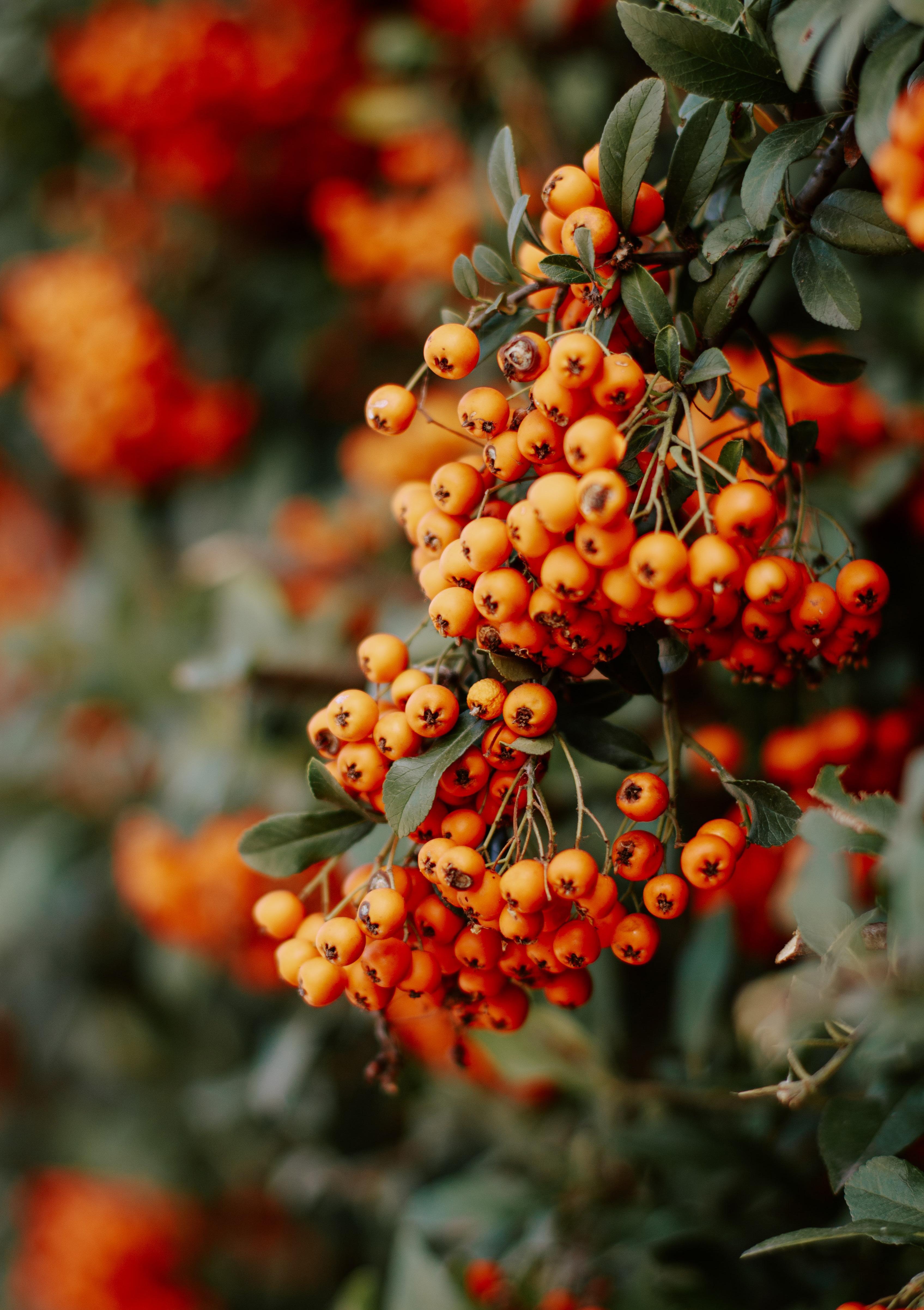 Cover for O Mar Logo Ali Ana Gomes