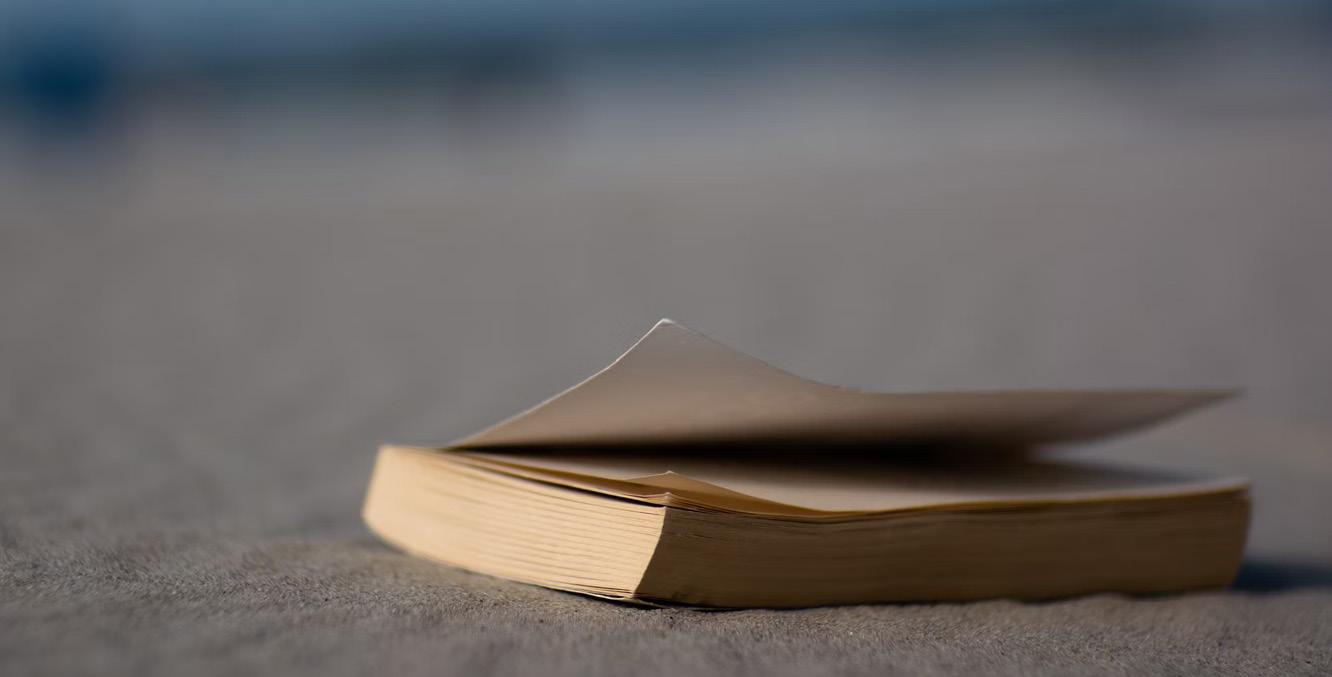 Cover for Ré em Causa Própria Adelina Barradas de Oliveira