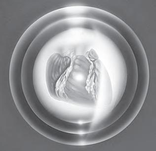 Cover for Nine Steps for Putting the Violet Flame into Action in Your Life