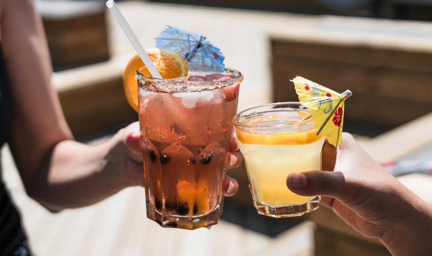 Cover for Mosquitoes Will Love You