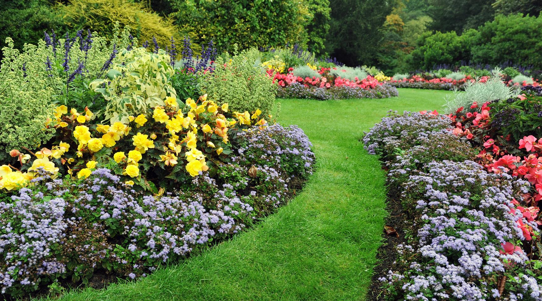 Cover for Your garden