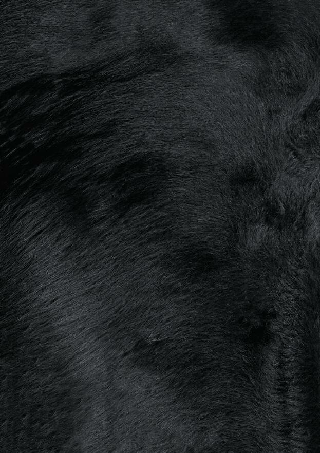 Cover for Submitting structural scores