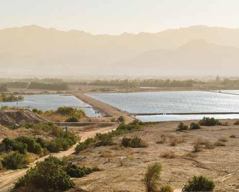 Cover for WATER TECHNOLOGY