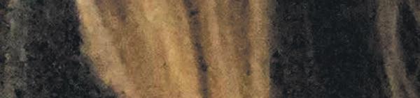 Cover for Erie’s Elissa Nadworny connects Erie to NPR and the world