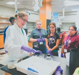 Cover for Your Role and Responsibilities