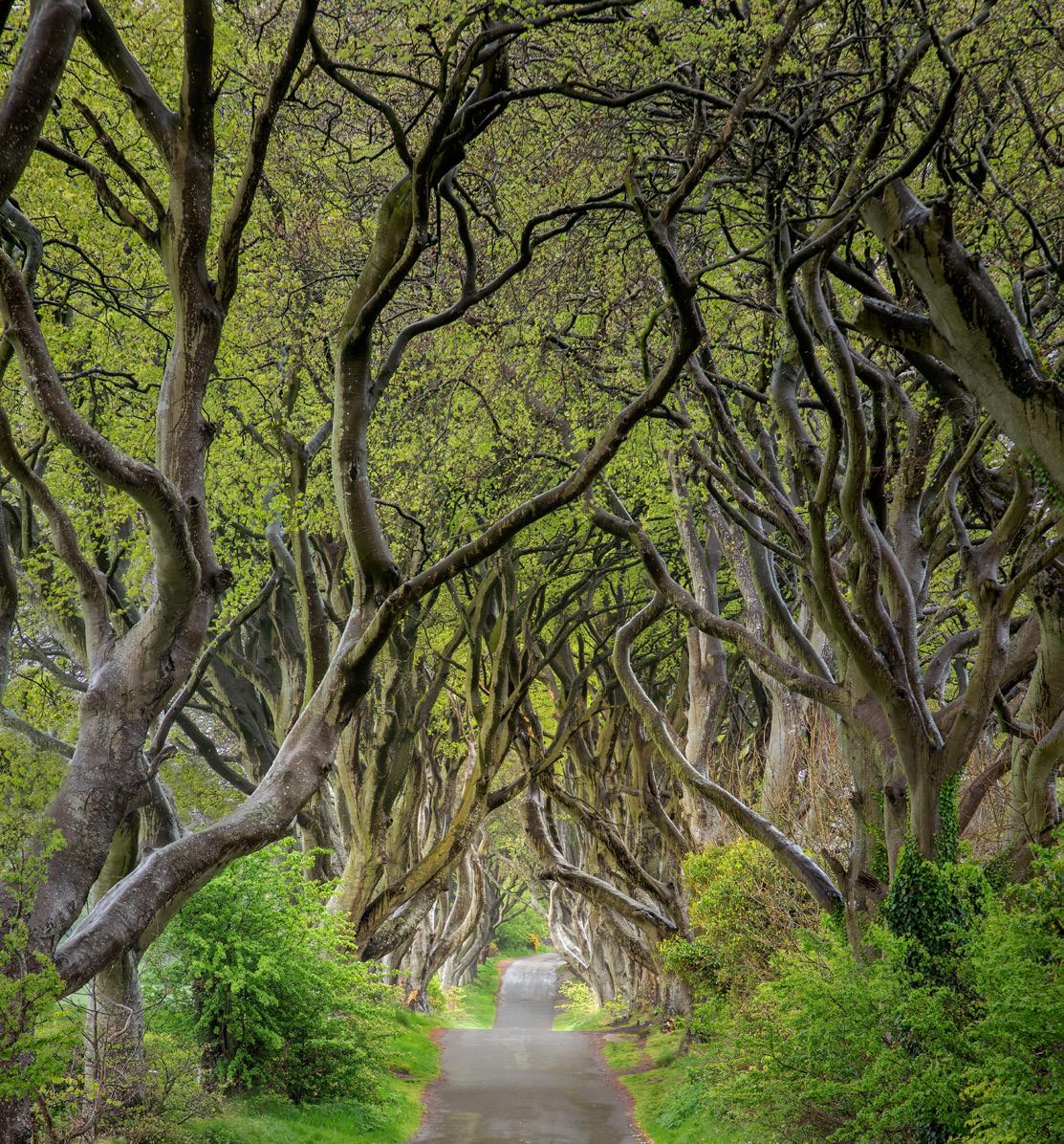 Cover for Photo of the Month