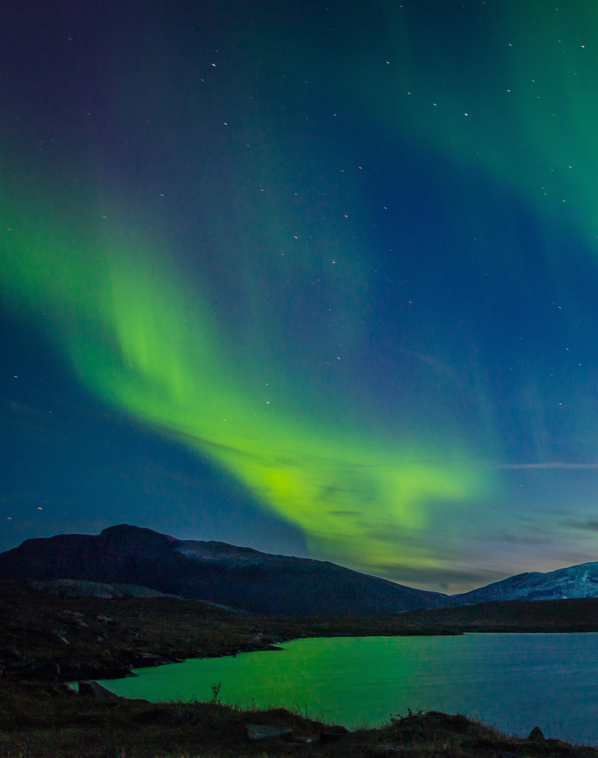 Cover for Memento Mori Anita Liu