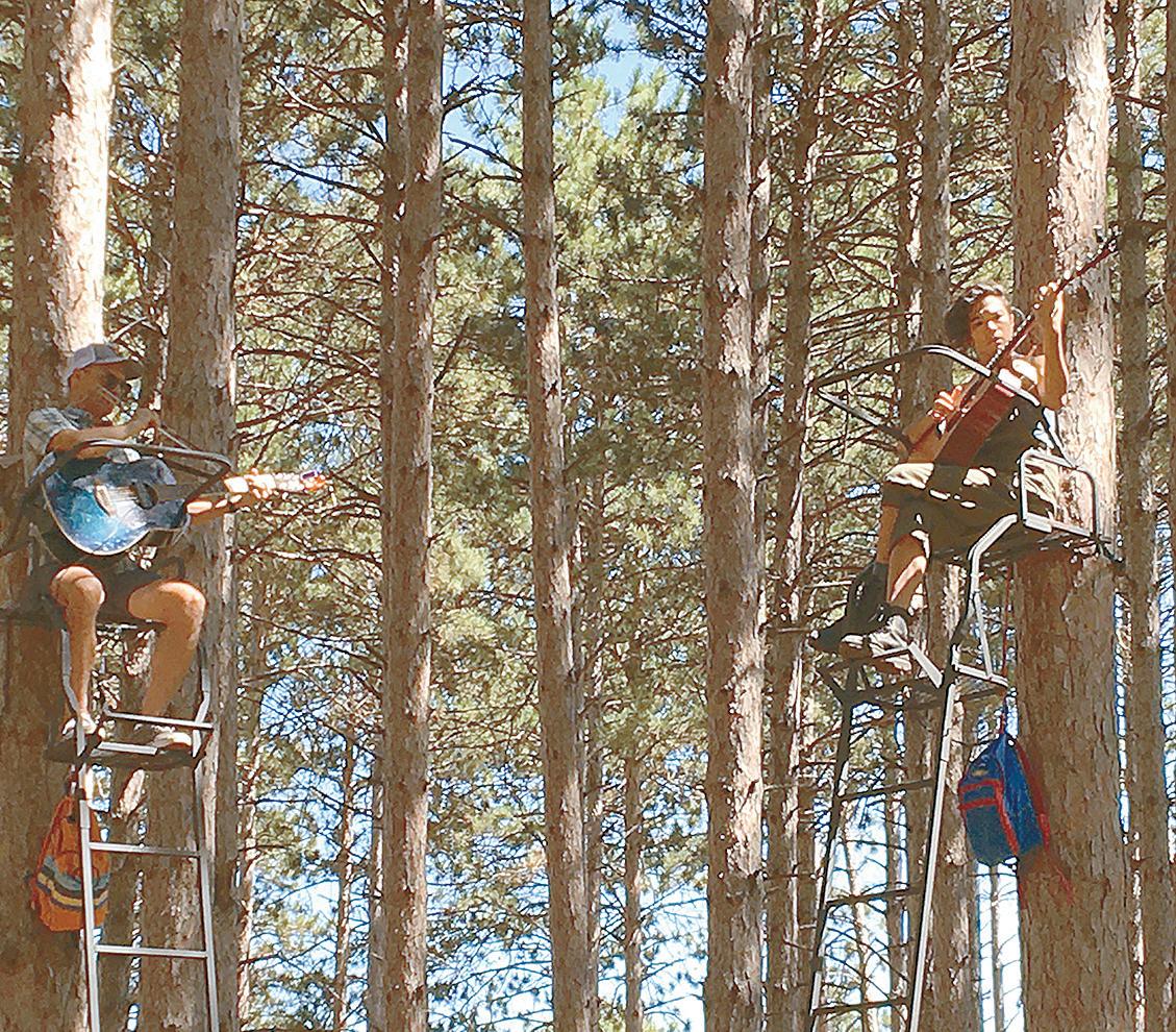 Cover for Music in the trees