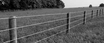 Cover for Cooking With Kristin