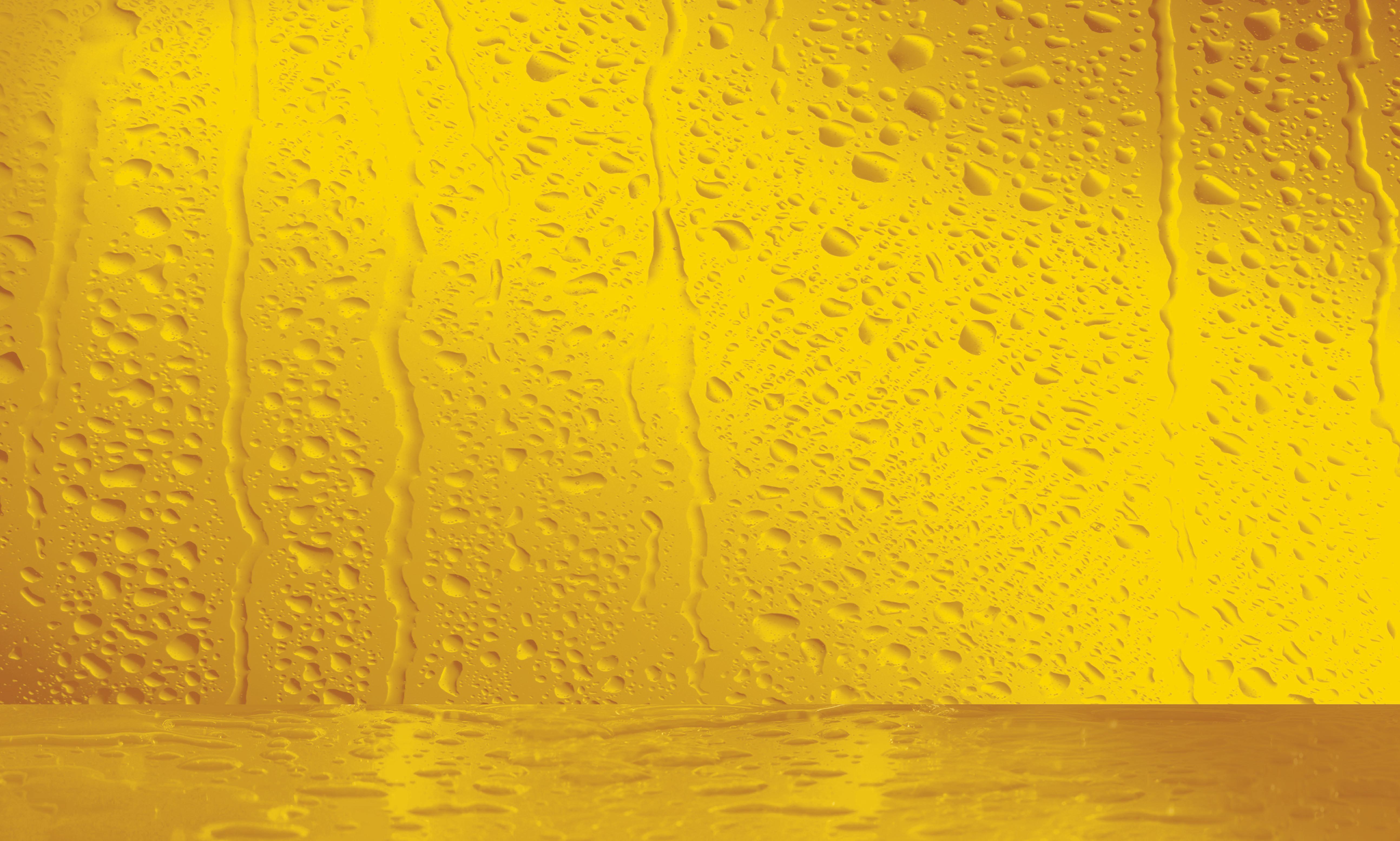 Cover for MEET THE 2022 VANCOUVER CANADIANS