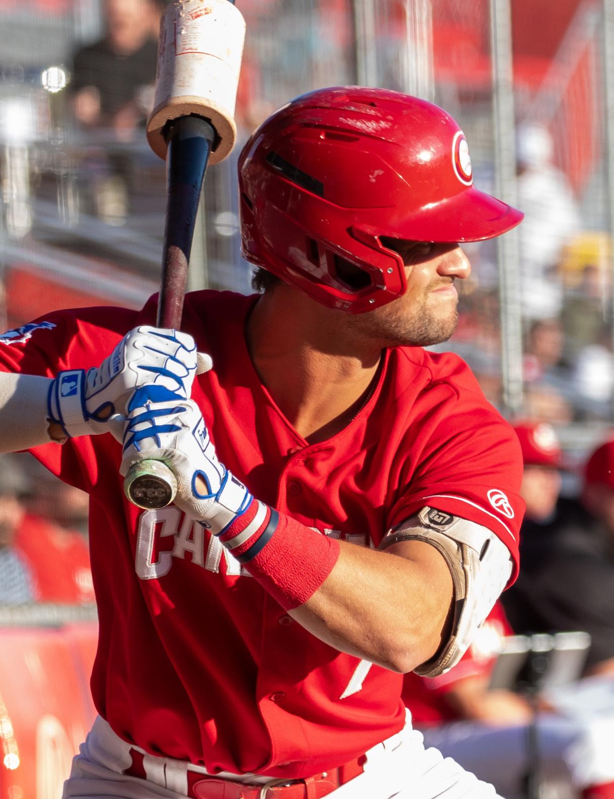 Cover for STEINER STORIES: DAMIANO PALMEGIANI