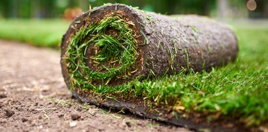 Cover for Instant Green