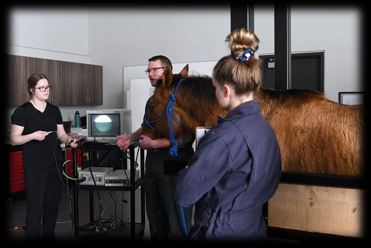 2022/23 Animal Health Technology Student Handbook by Lakeland College