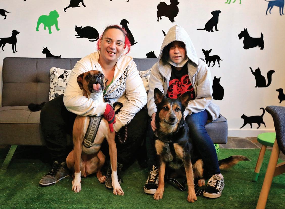 Cover for Helping Pets Through “Ruff” Times