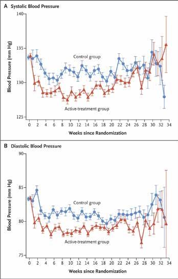 Cover for Behandling af mild hypertension i graviditeten