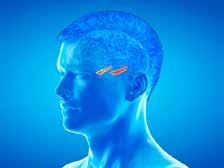 Cover for Da Costa Syndromet og Funktionelle hjertelidelser